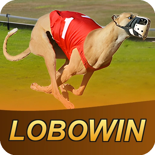 Download LOBOWIN — baixar APK oficial app Android Brasil